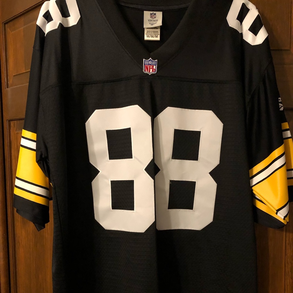 Lynn Swann Jersey